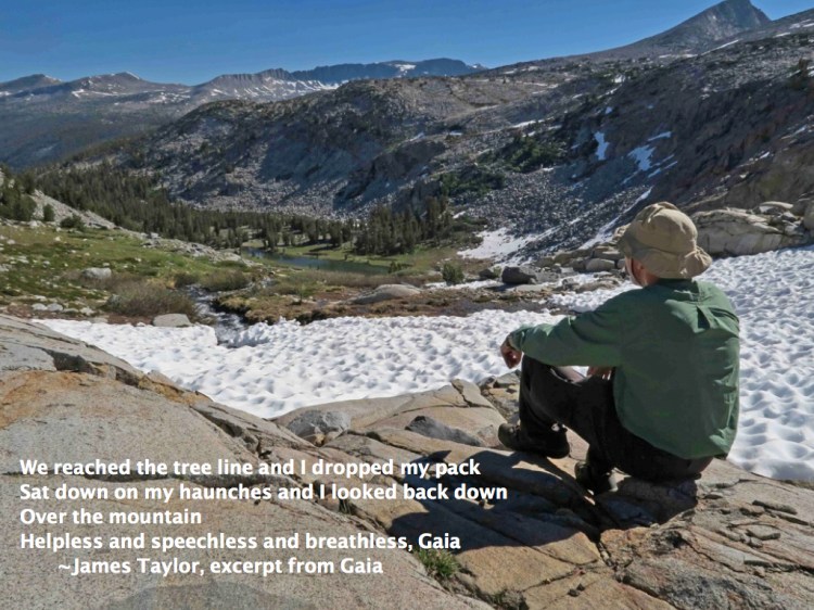 James Taylor Gaia .001