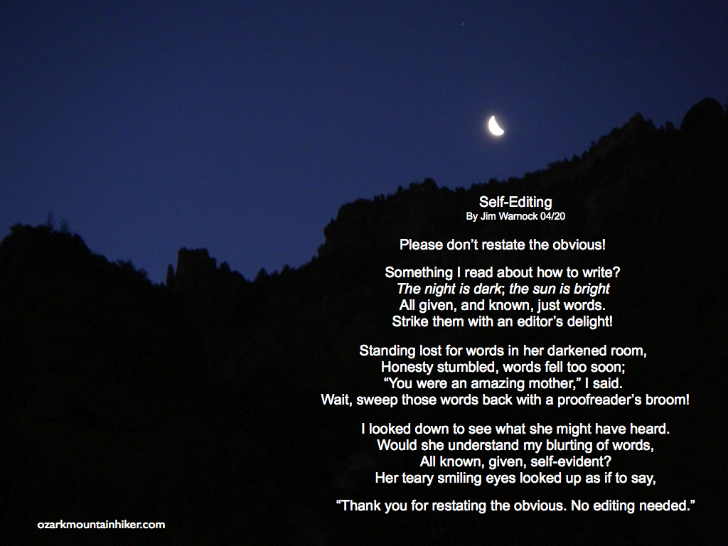 Self-Editing0420.001