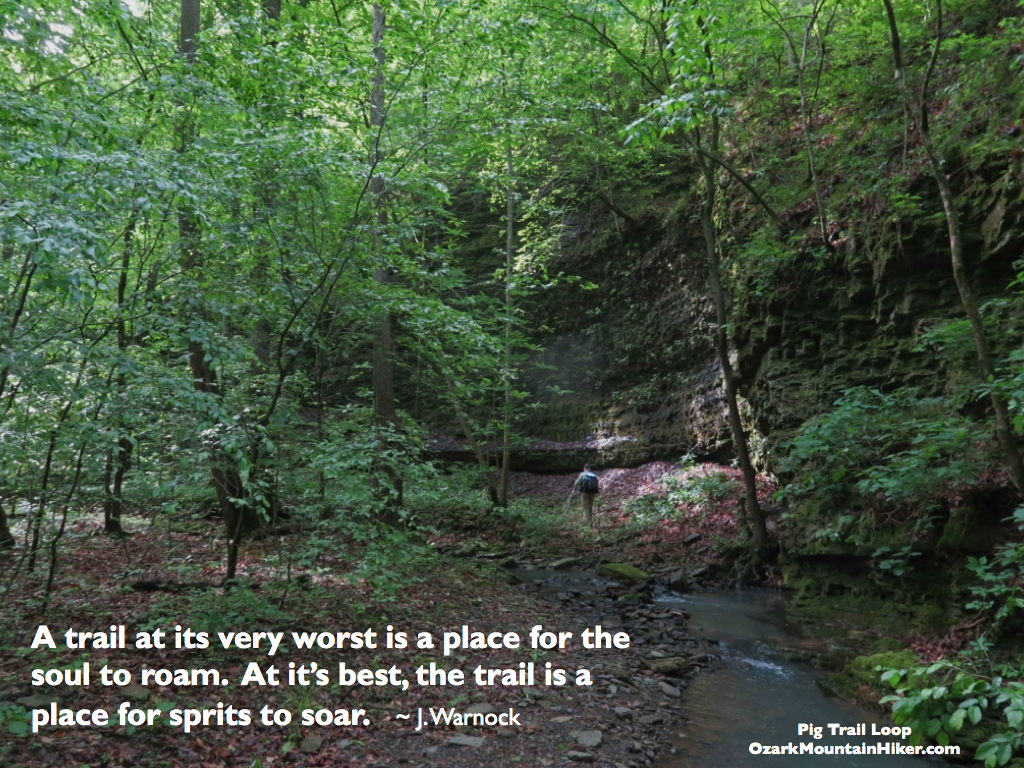 PigTrailLoop quote.001